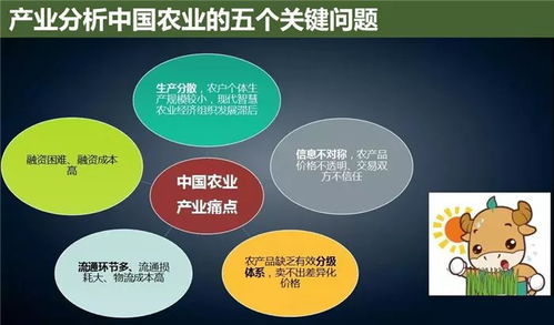 云威榜第475期 互聯(lián)網(wǎng)數(shù)據(jù)服務賦能智慧農(nóng)業(yè)，大數(shù)據(jù)解決方案引領(lǐng)產(chǎn)業(yè)革新